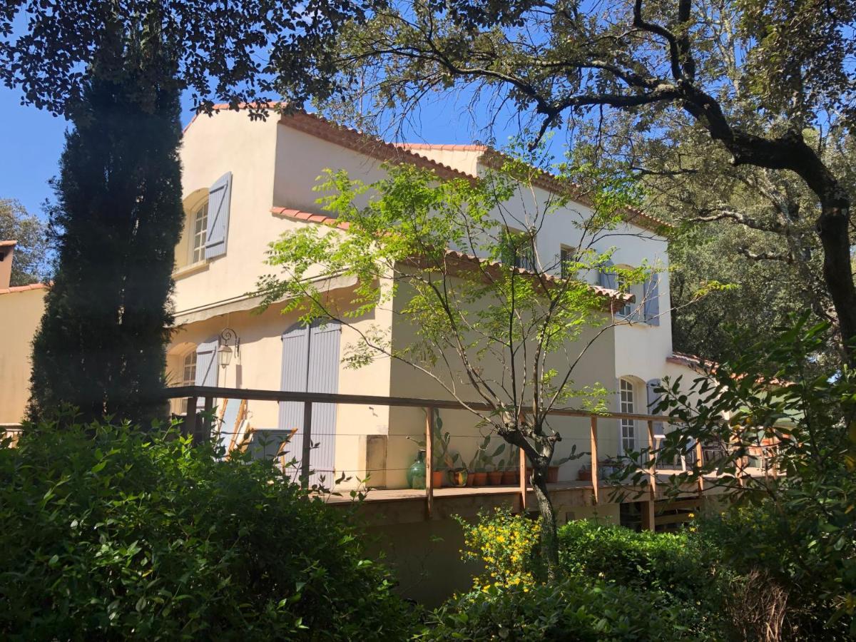 Magnifique Demeure Familiale Castries Exterior foto